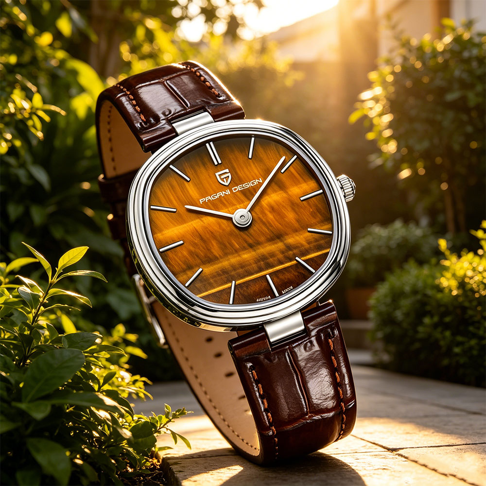 PAGANI DESIGN 2026 New Quartz  - Anti-Magnetic Watch recension och pris