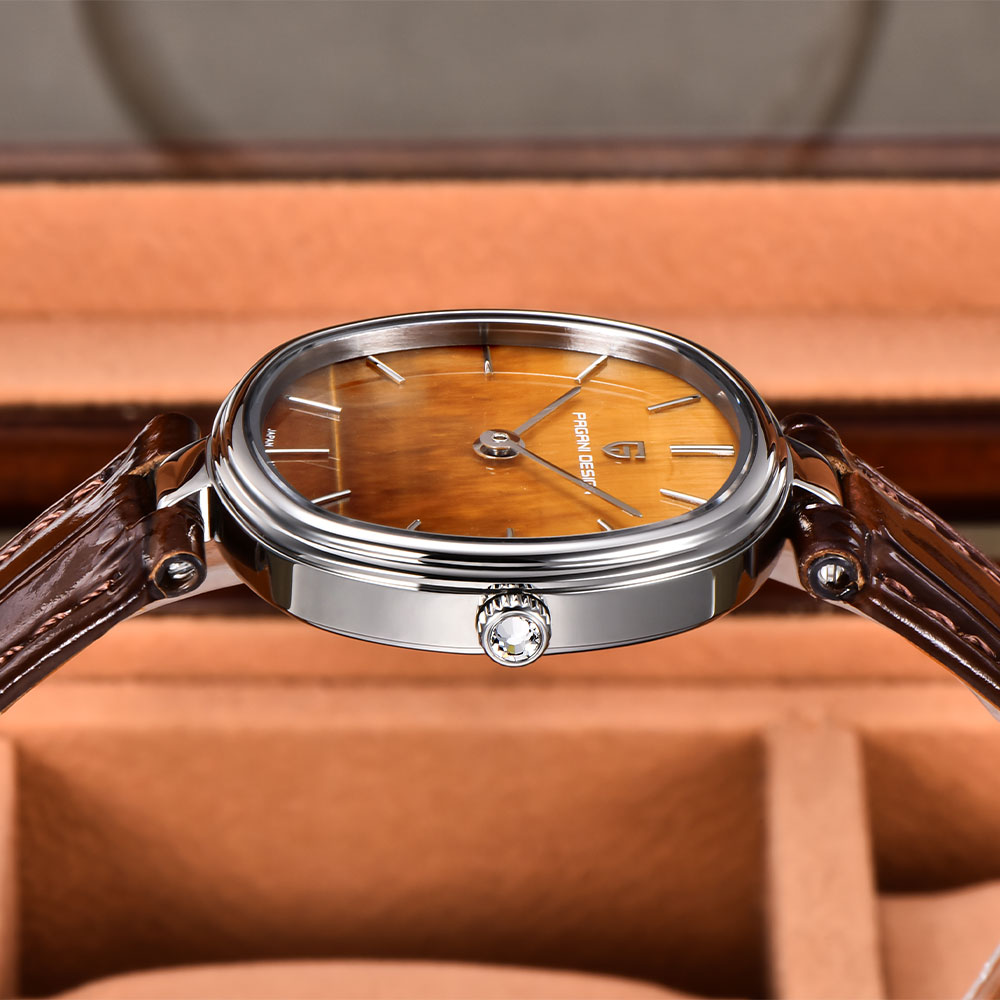 PAGANI DESIGN 2026 New Quartz  - Anti-Magnetic Watch recension och pris