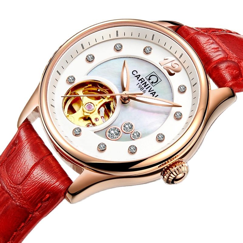 Switzerland CARNIVAL Luxury Wo - Skeleton Mechanical Watch recension och pris