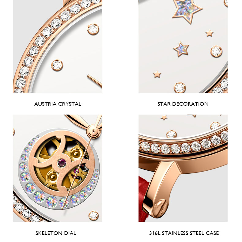 LOBINNI Luxury Women Watches,L - Skeleton Mechanical Watch recension och pris